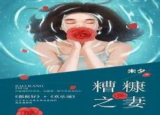 郑二糟糠之妻讲什么