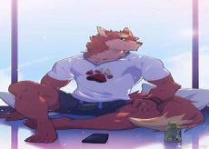 furry动画网站18+